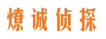 阳原侦探公司